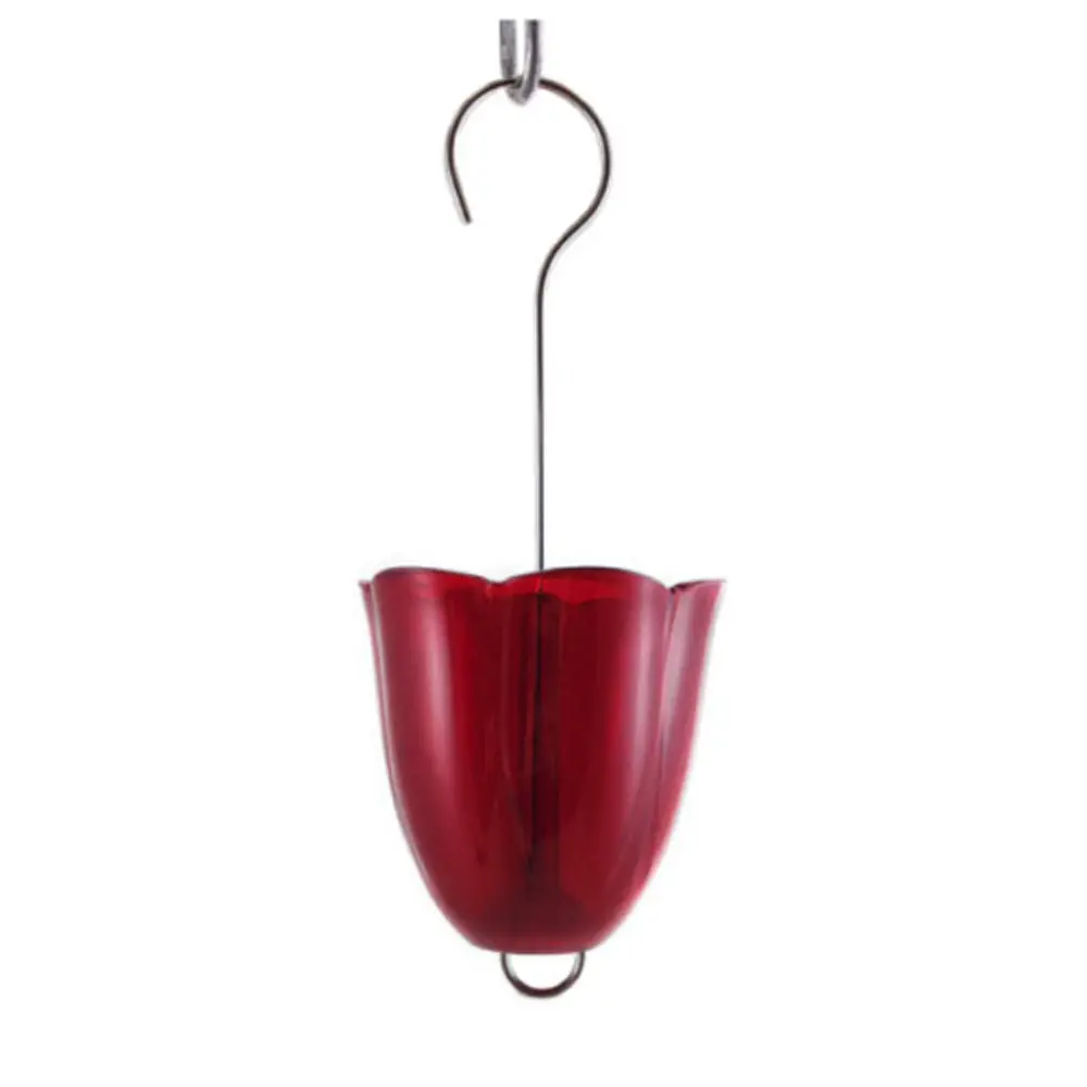 Hummingbird Feeder Protector Ant Moat