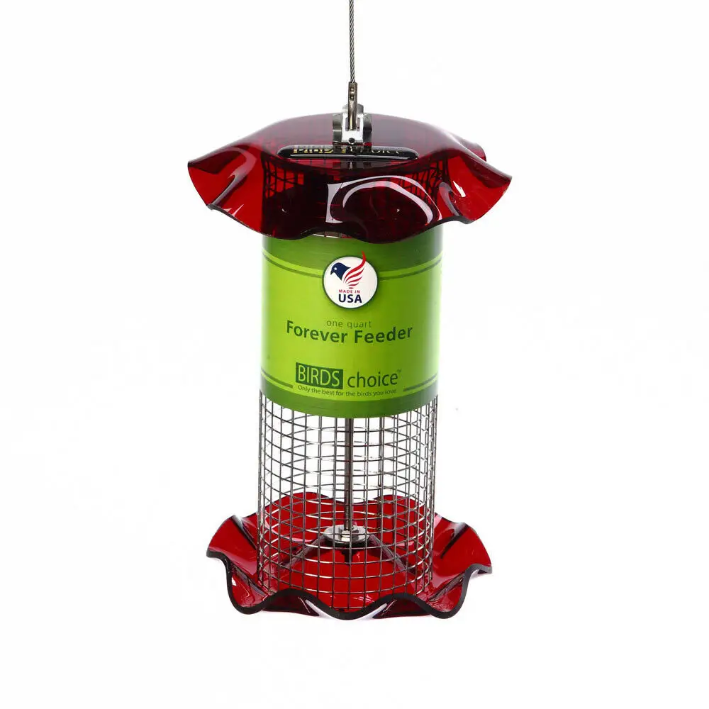 Birds Choice 1 Quart Sunflower Forever Feeder