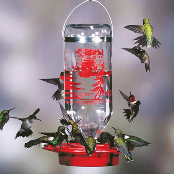 Best-1 Hummingbird Feeder 32 oz.