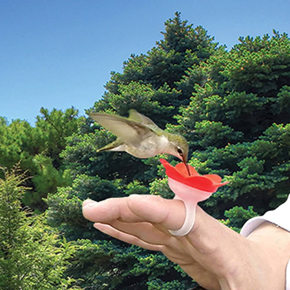 Hummer Ring Feeder