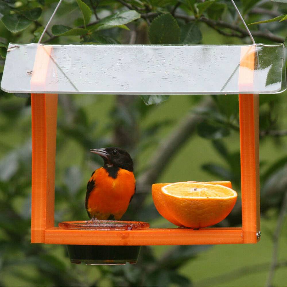 Green Solutions Oriole Bird Feeder