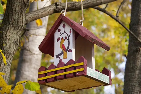 decorative bird feeder hanging from a branch in the fall