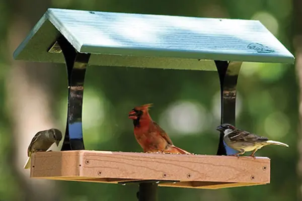 Recycled Green Feeder