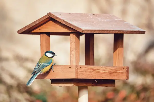 Pole Mount Bird Feeder