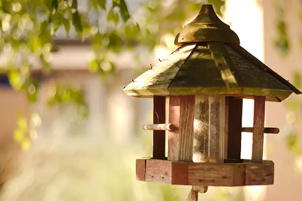 wooden bird feeder